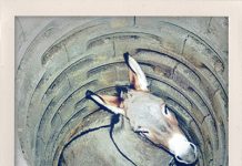 5 Simple Rules to be Happy… I’m All About #3 donkey in a well